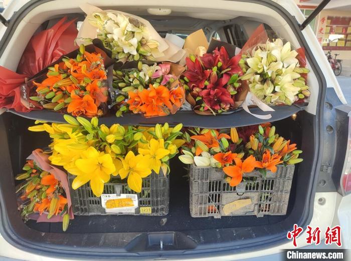 剛剛采摘下來的百合花?！∪捞量h委宣傳部供圖