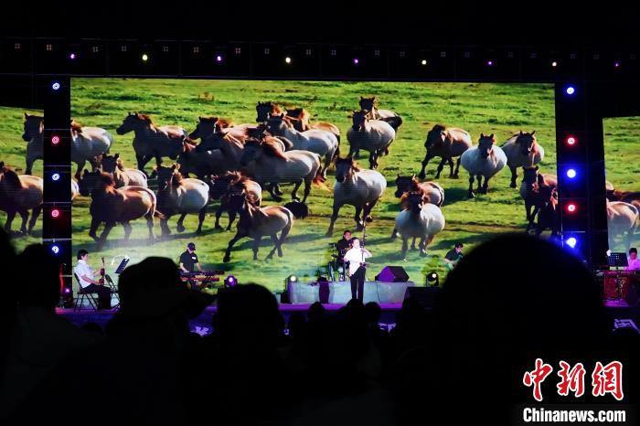瀾滄江源草原夜：中外來賓藏歌悠揚中仰望星空