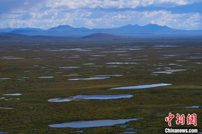 圖為查旦濕地。　馬銘言 攝