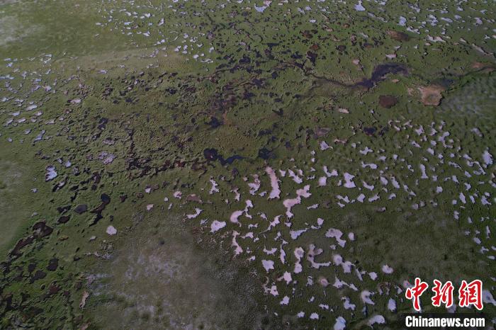 航拍查旦濕地?！●R銘言 攝