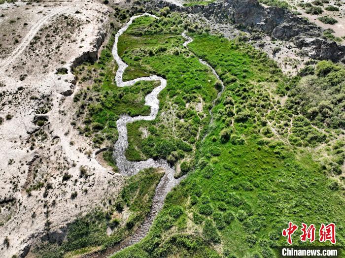 圖為航拍都蘭湖國家濕地公園綠意盎然。　祁增蓓 攝