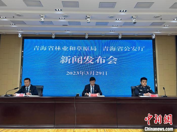 青海去年占用林地、草地準(zhǔn)予許可件同比實(shí)現(xiàn)“雙減”