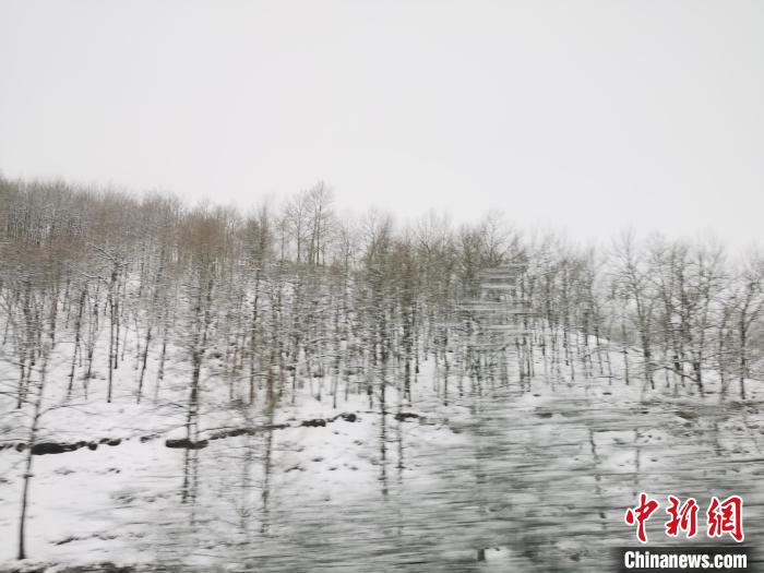 圖為青海青沙山區(qū)域被降雪覆蓋?！?zhí)砀?攝