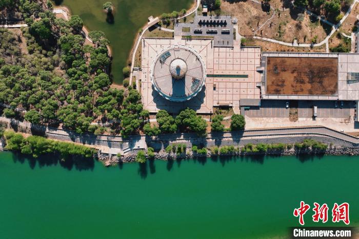 航拍青海貴德黃河岸畔綠意濃濃。　趙凜松 攝