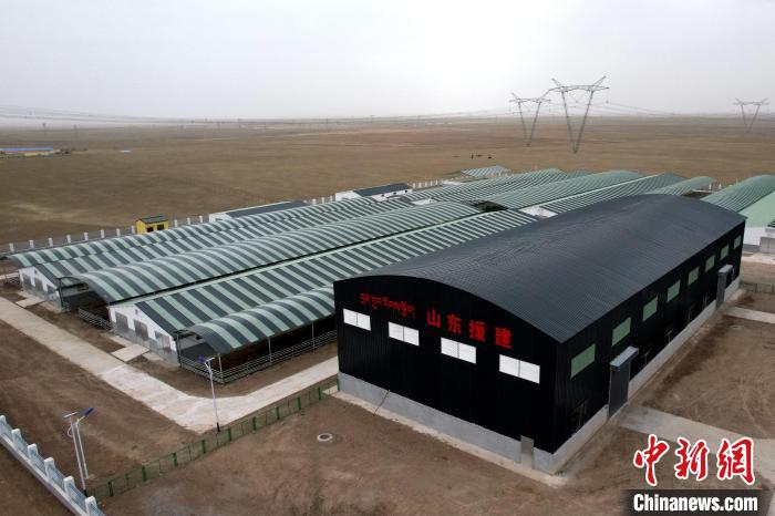 圖為航拍生態(tài)畜牧業(yè)集中規(guī)模化養(yǎng)殖基地?！〔讨绢?攝