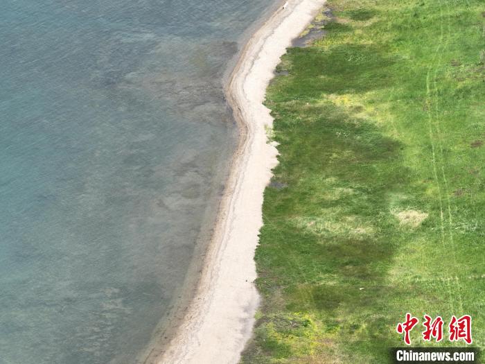 圖為航拍仲夏時節(jié)，青海湖畔綠茵如毯?！∑钤鲚?攝