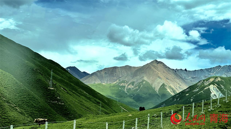 果洛風(fēng)光。人民網(wǎng) 劉沛然攝