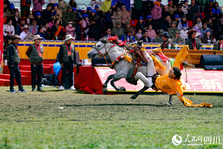 馬術(shù)表演現(xiàn)場。洛絨尼瑪攝