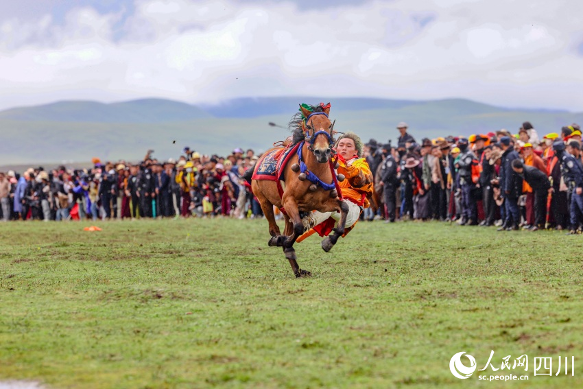 馬術(shù)表演現(xiàn)場。洛絨尼瑪攝