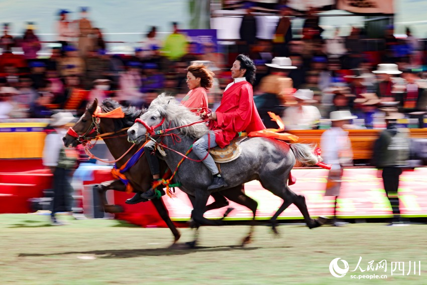 馬術(shù)表演現(xiàn)場。洛絨尼瑪攝