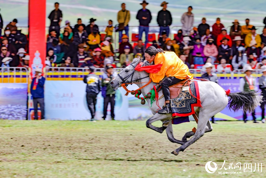 馬術(shù)表演現(xiàn)場。洛絨尼瑪攝