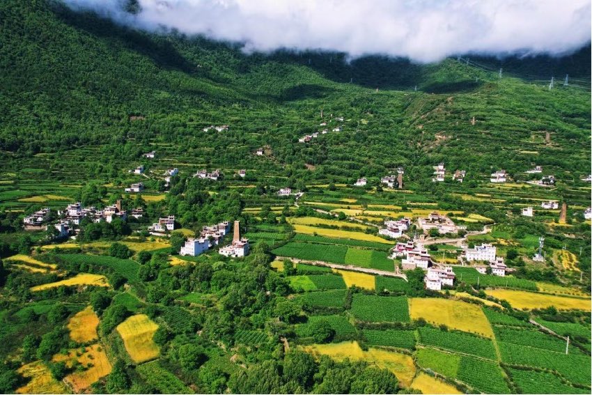 綠色丹巴。丹巴縣委宣傳部供圖