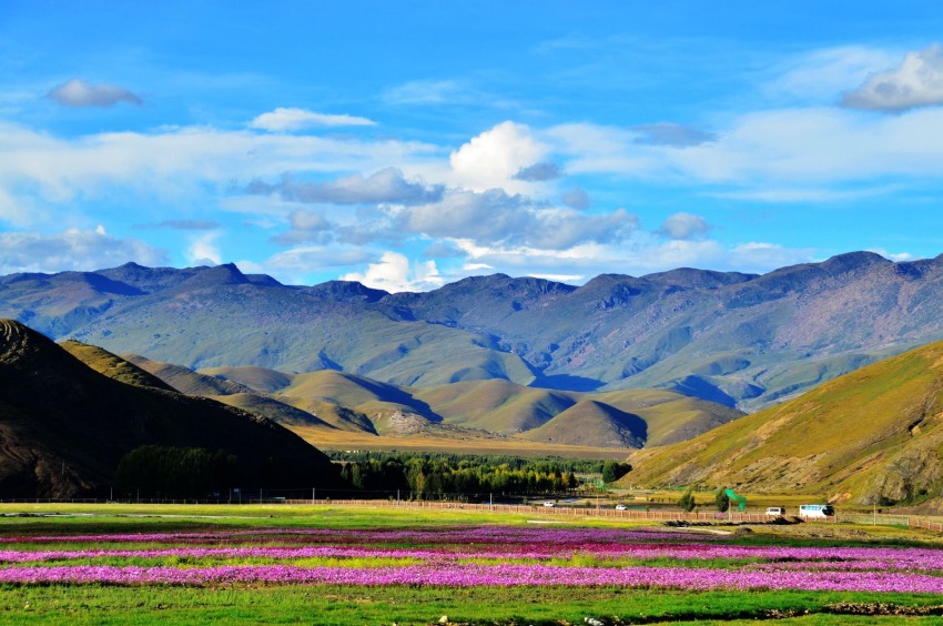 稻城風(fēng)光。稻城縣委宣傳部供圖