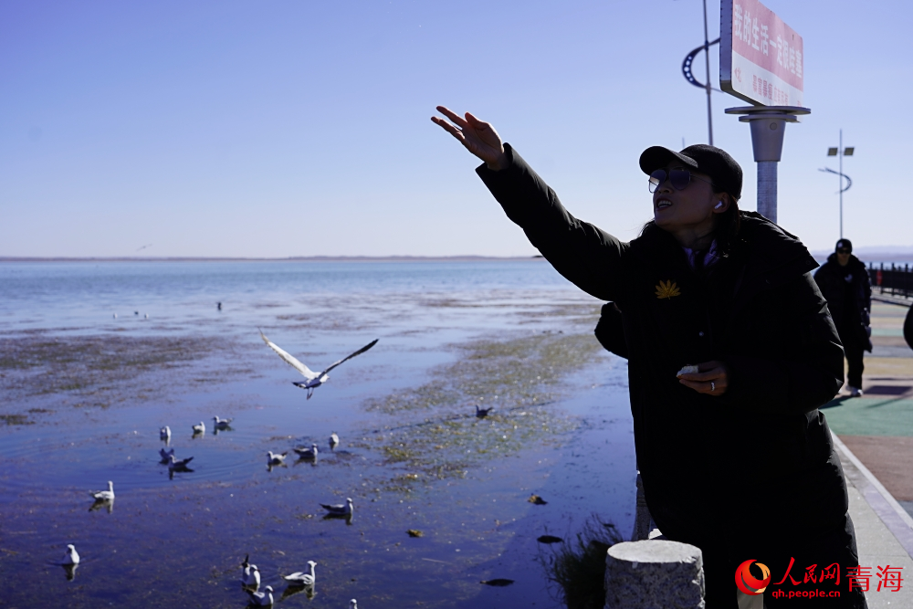 游客投喂水鳥(niǎo)。人民網(wǎng) 陳明菊攝