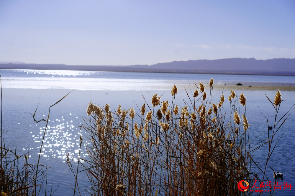 可魯克湖秋色如畫(huà)。人民網(wǎng) 陳明菊攝