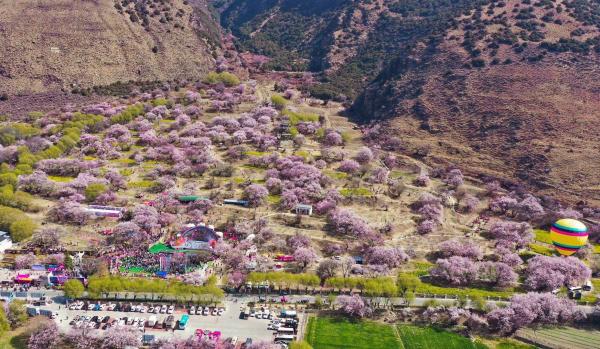 世外桃源！一組圖告訴你，西藏林芝桃花能有多美