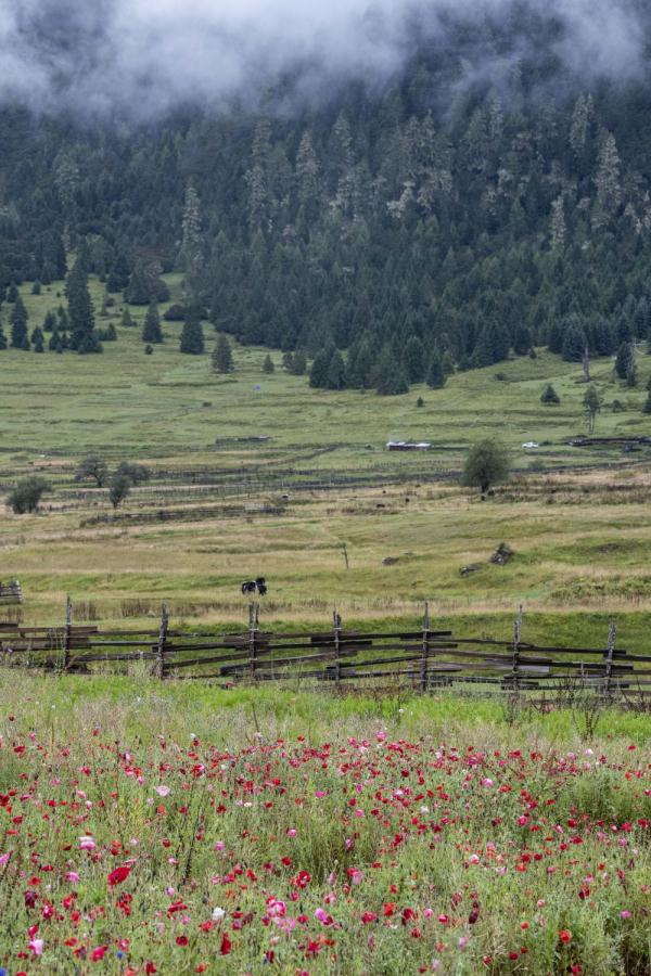 跟我，踏上最美“景觀大道”
