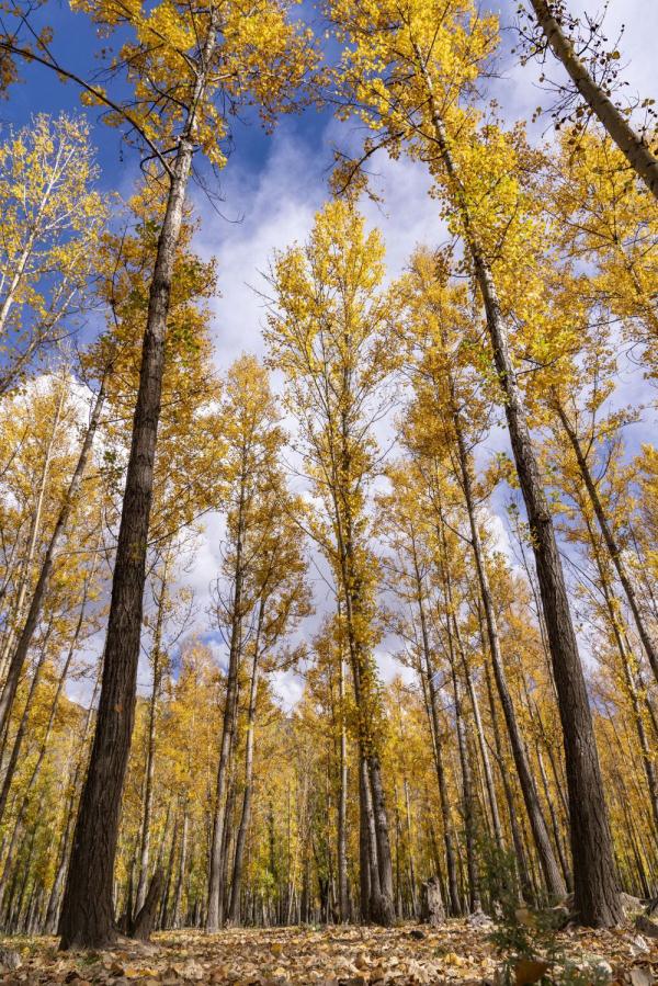 跟我，踏上最美“景觀大道”