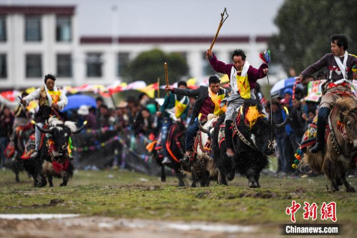 圖為拉薩郊縣的賽馬節(jié)(資料圖)。何蓬磊 攝