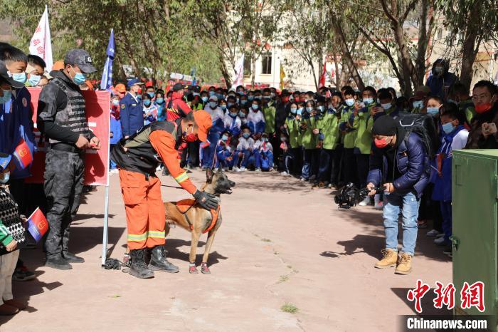 圖為搜救犬服從和箱體搜救演練?！≮w琳 攝