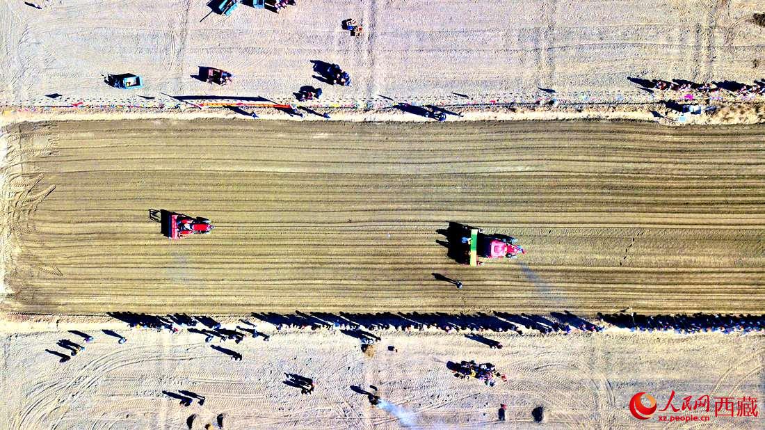 山南市扎囊縣扎其鄉(xiāng)孟卡榮村迎來春耕第一犁。人民網(wǎng) 次仁羅布攝