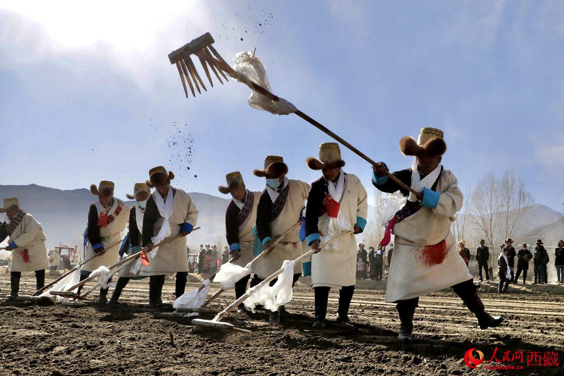 當?shù)卮迕裆碇?jié)日盛裝，舉行春耕儀式。人民網(wǎng) 次仁羅布攝