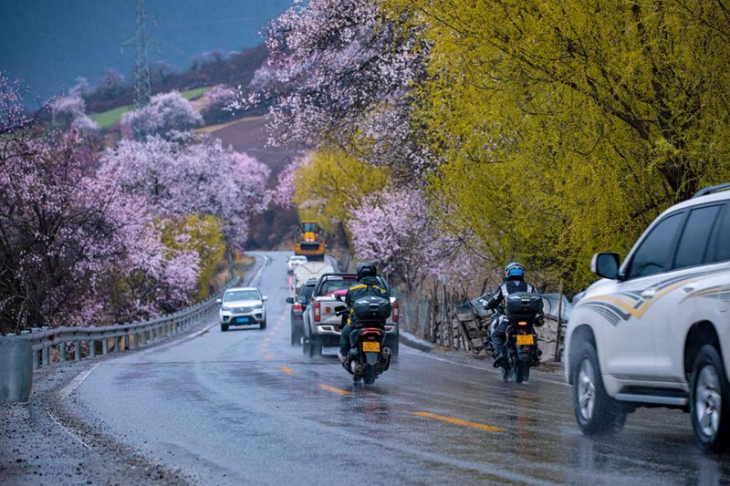 桃花林。張靜攝