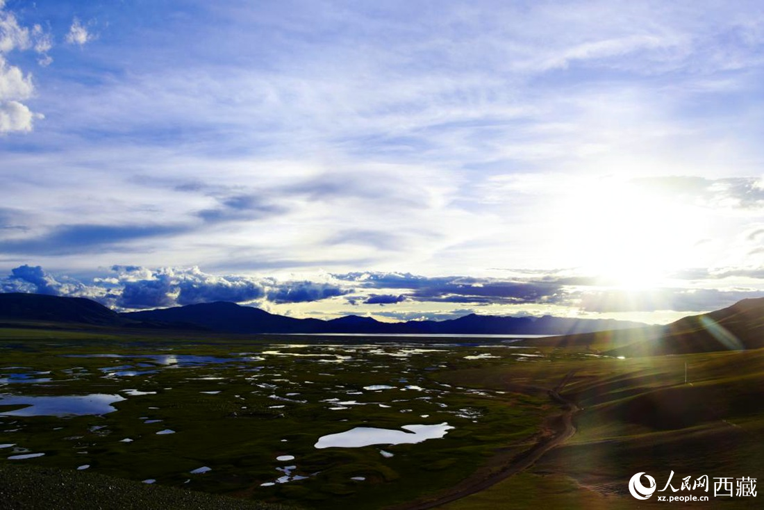 七月的羌塘草原處處是景。人民網(wǎng) 李海霞攝