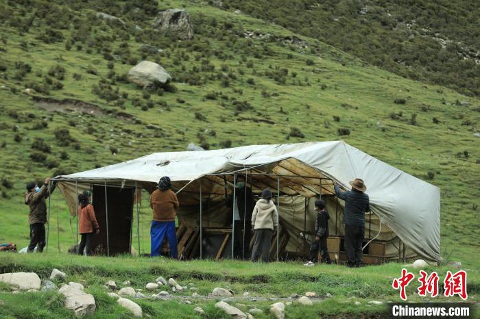 圖為牧民們在秋季牧場搭建帳篷?！÷蹇?攝