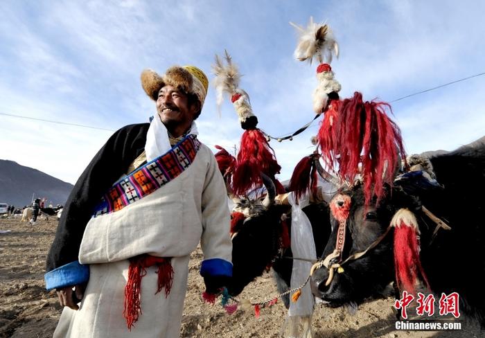資料圖為2013年3月16日，拉薩市堆龍德慶區(qū)德慶村的農(nóng)民牽著牦牛參加春耕儀式，按照傳統(tǒng)方式由牦牛開第一犁。 <a target='_blank' href='/'><p  align=