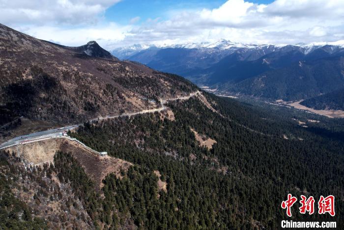 2月17日，西藏林芝魯朗林海。(無(wú)人機(jī)照片) 李林 攝