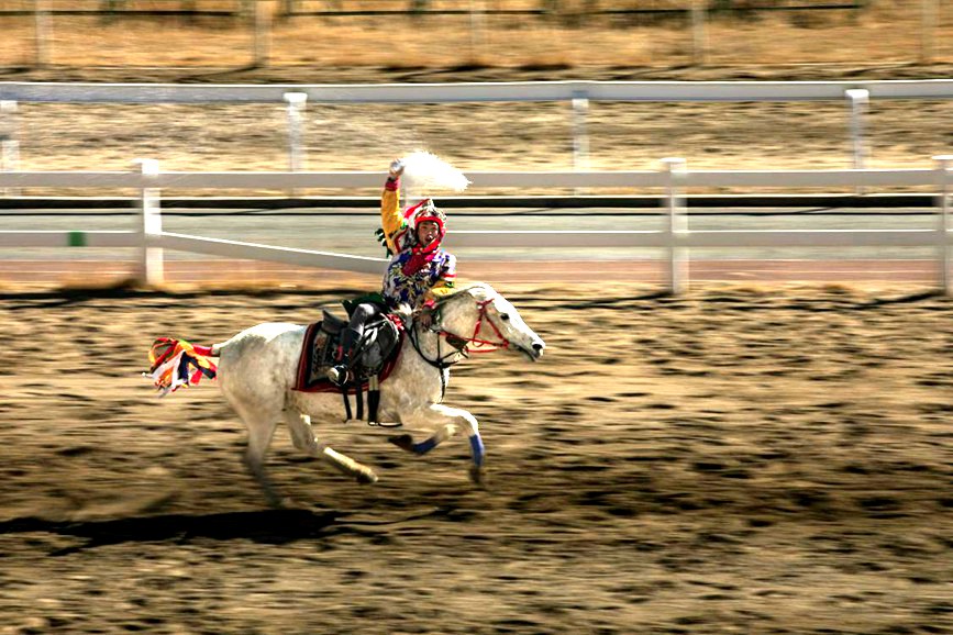 藏歷新年，精彩的馬術(shù)表演。張靜攝