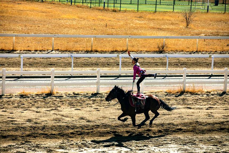 藏歷新年，精彩的馬術(shù)表演。張靜攝
