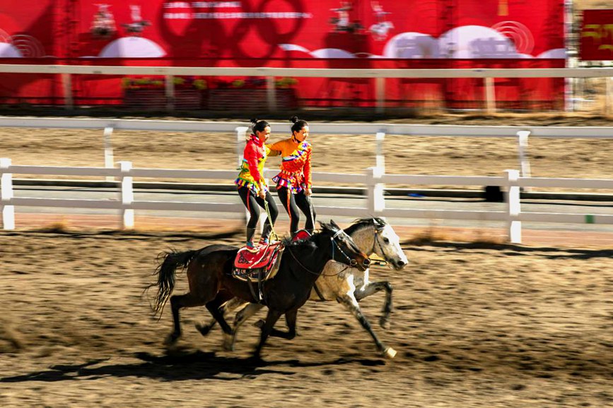 藏歷新年，精彩的馬術(shù)表演。張靜攝