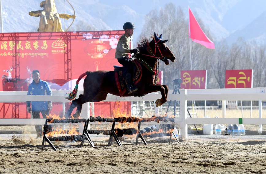 藏歷新年，精彩的馬術(shù)表演。潘多攝