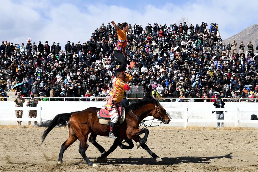 藏歷新年，精彩的馬術(shù)表演。潘多攝