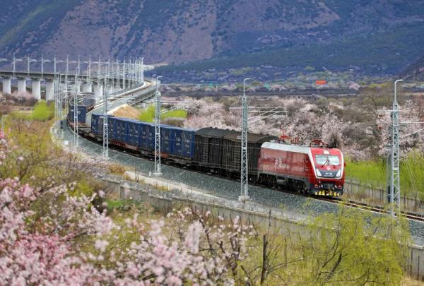 人間桃花源！林芝桃花有多絕？