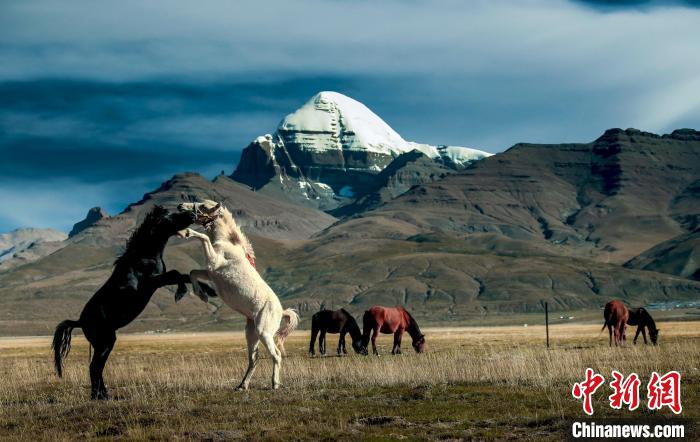 圖為參展攝影師拍攝的西藏阿里岡仁波齊。　主辦方 供圖