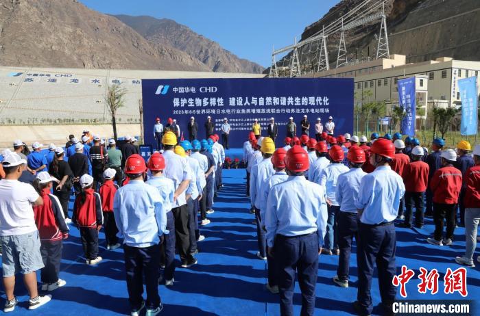 圖為蘇洼龍水電站魚類放流現(xiàn)場?！√K洼龍水電站供圖