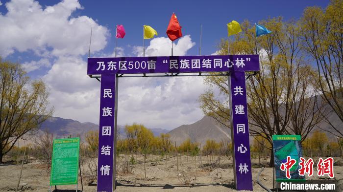 圖為“民族團(tuán)結(jié)同心林”項(xiàng)目?！∧藮|融媒供圖