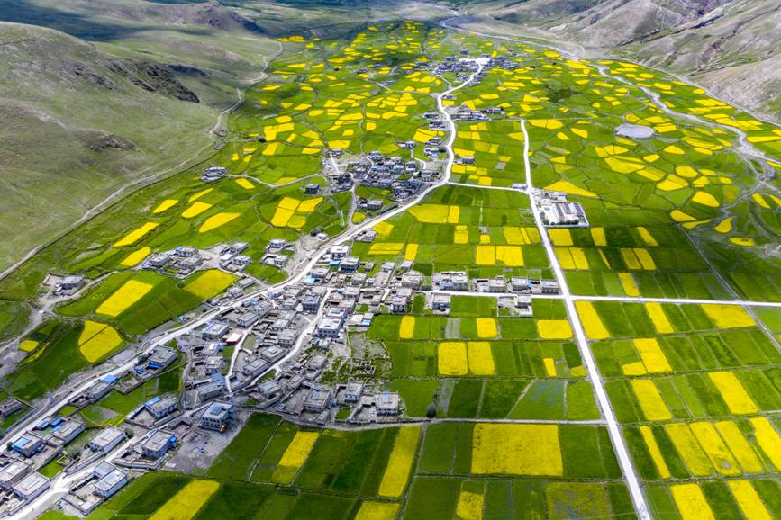 航拍道布龍村，依山傍水，阡陌縱橫。