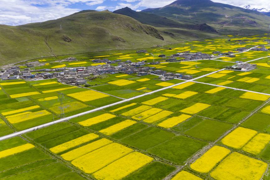 航拍道布龍村，依山傍水，阡陌縱橫。