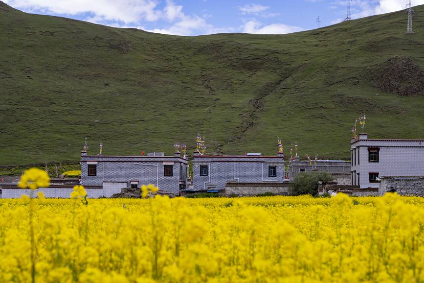 環(huán)境優(yōu)美的道布龍村一角。