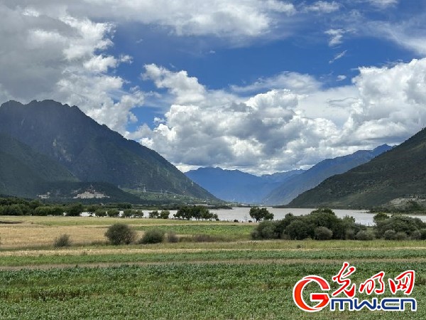 我們的家園｜林芝米林縣：河長護(hù)藥洲，碧水映花谷