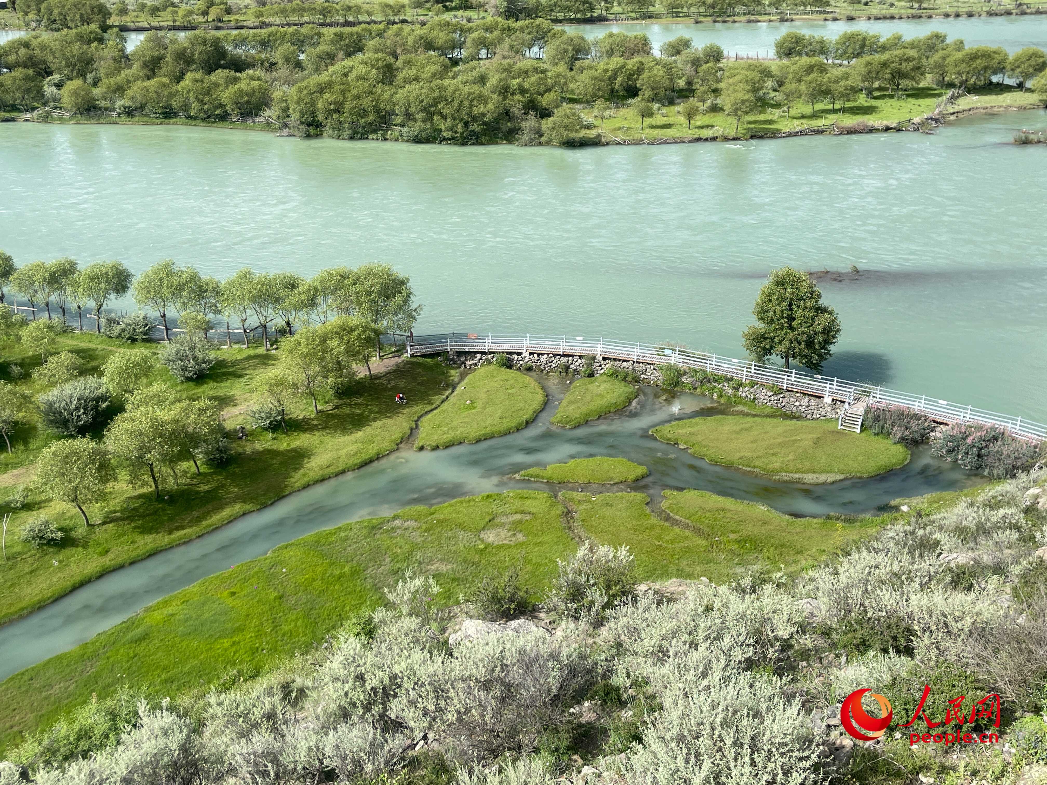 夏日的雅尼國家濕地公園生機盎然，如詩如畫。人民網(wǎng) 周靜圓攝