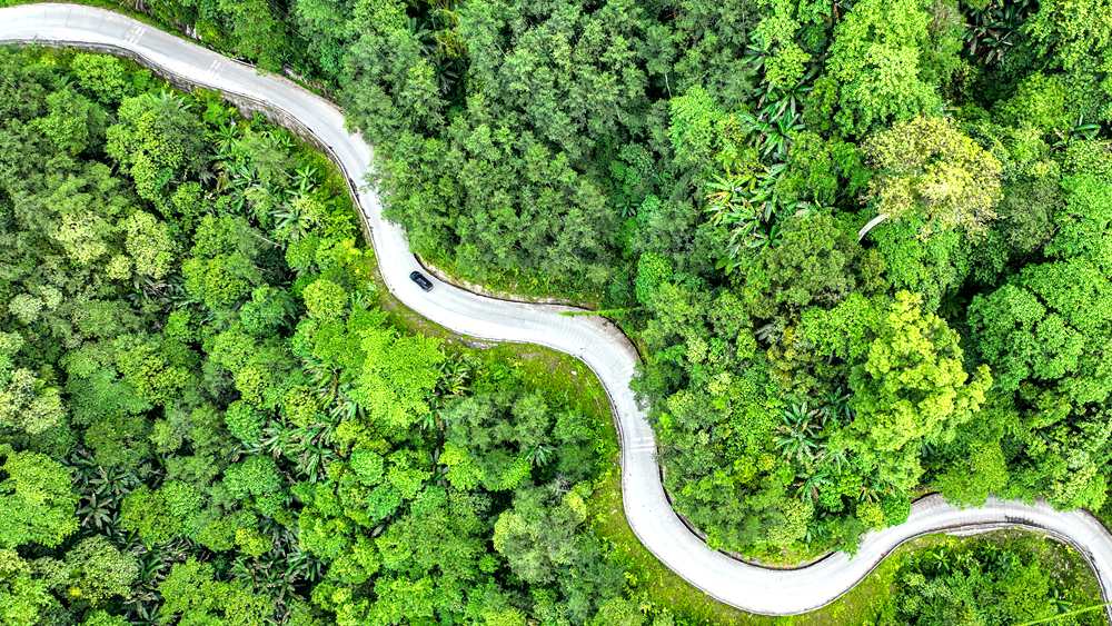 穿行于綠色間，生態(tài)優(yōu)良。張澤坤攝