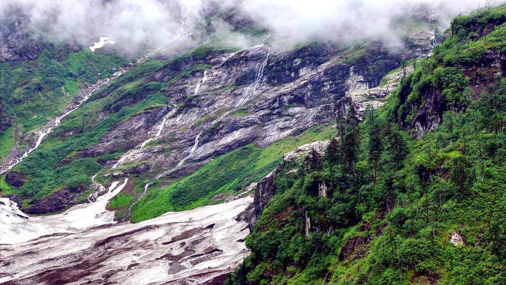 磅礴的河流滋養(yǎng)著山間草木。張澤坤攝