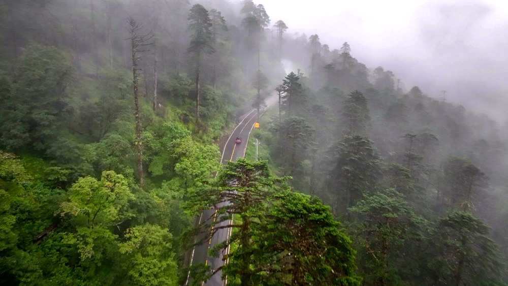 穿行于綠色間。張澤坤攝