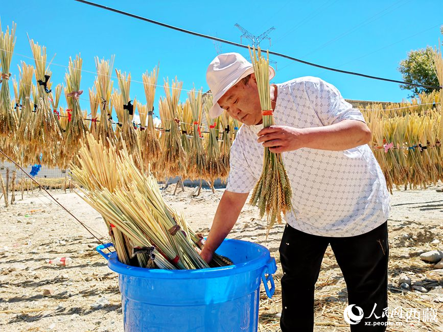 幸福生活曬出來。人民網(wǎng) 李海霞攝