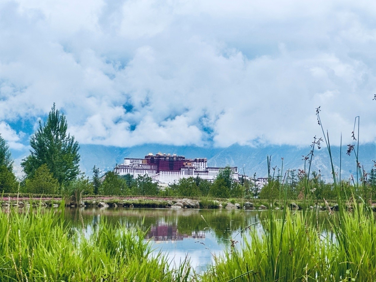 在南山公園遠(yuǎn)眺布達(dá)拉宮。人民網(wǎng)記者 益西康珠攝